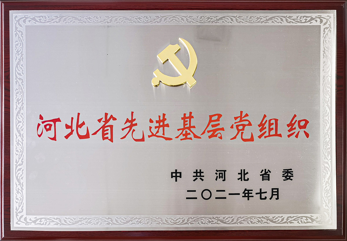 我公司黨委榮獲： 河北省先進基層黨組織