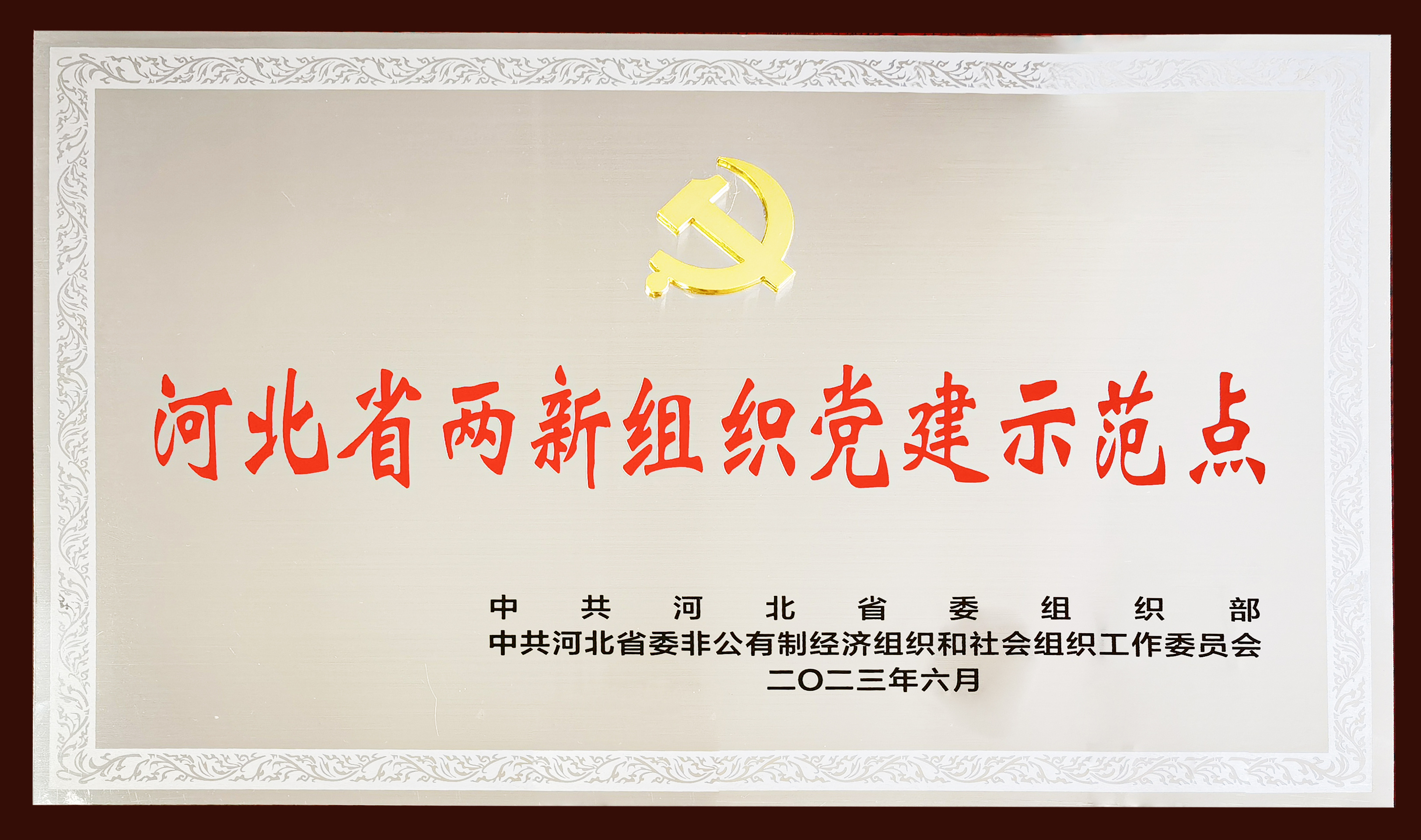 衡橡科技黨委榮膺 —— 河北省首批兩新組織黨建示範點